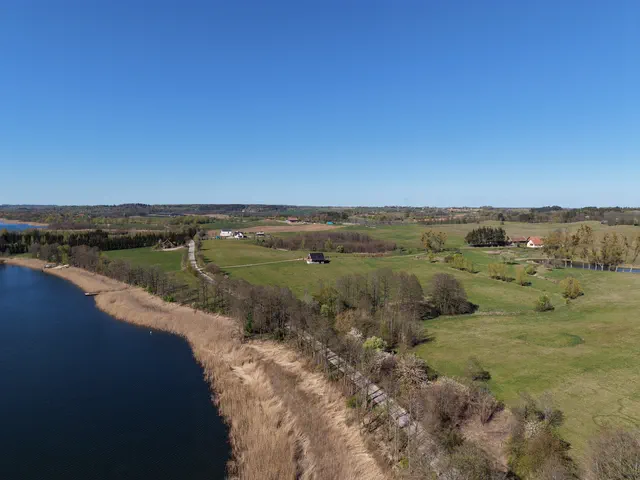 Jezioro z pasem trzcin, drogą oraz polami i domami przy brzegu.